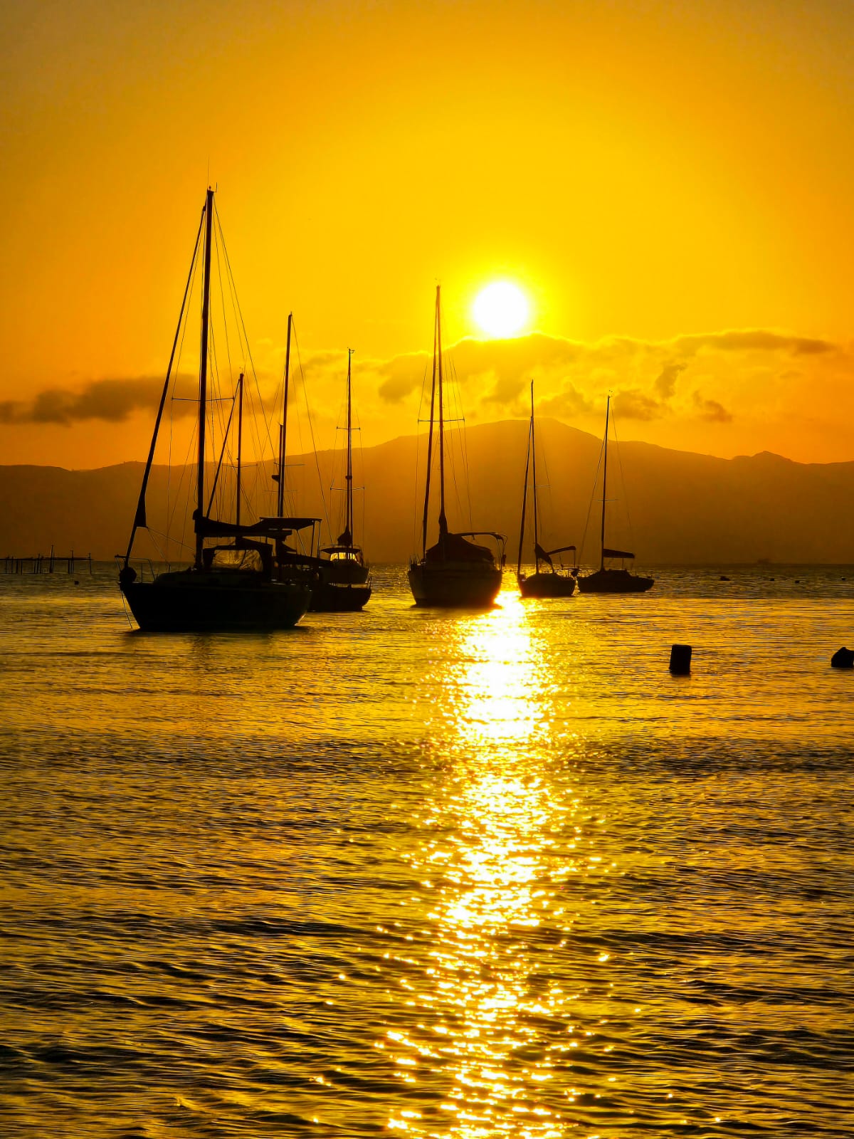Foto de Américo Riccardi Vaccari Lourenço